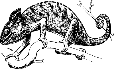 Chamaelion