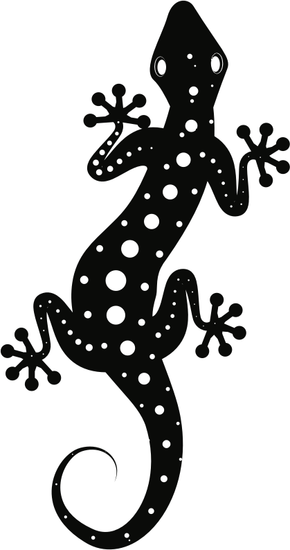 gecko